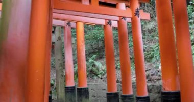 Kyoto 'nun En İyi Noktaları