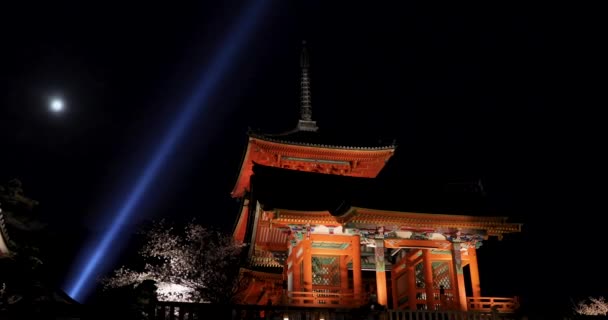 Bästa Flottarna Kyoto — Stockvideo