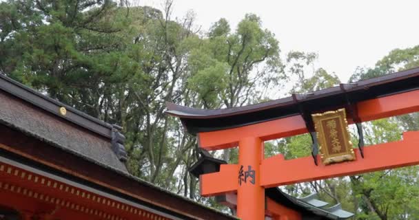 Kyoto Nun Noktaları — Stok video