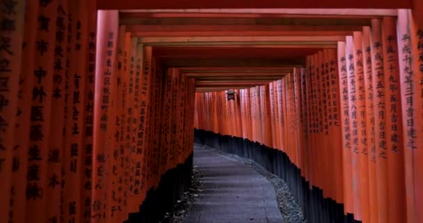 Melhores Lugares Kyoto — Vídeo de Stock