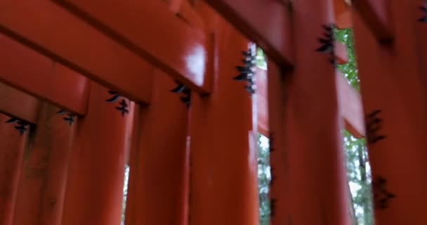 Les Meilleurs Endroits Kyoto — Video