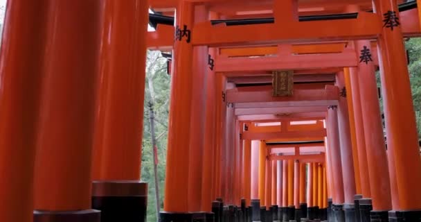 Найкращі Вислови Кіото — стокове відео