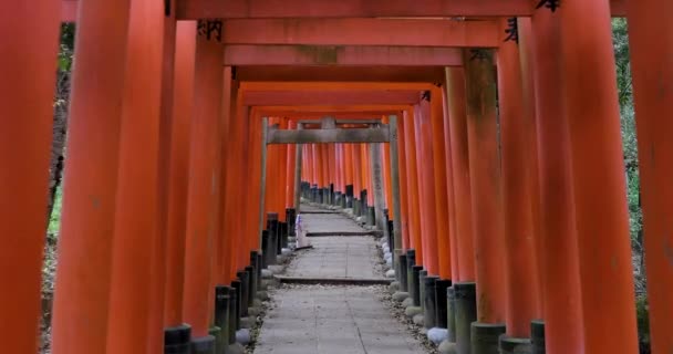 Les Meilleurs Endroits Kyoto — Video