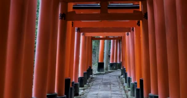 Les Meilleurs Endroits Kyoto — Video