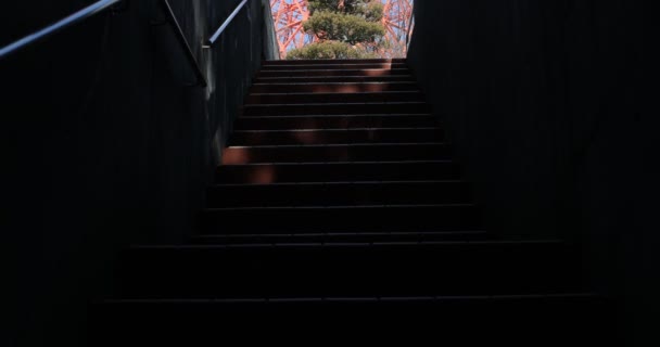 Mejor Vista Torre Tokio — Vídeos de Stock