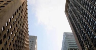 Tokyo kiraz çiçeği