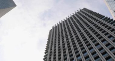 Tokyo kiraz çiçeği