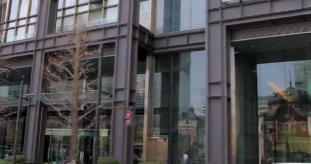 Körsbärsblommor Tokyo — Stockvideo