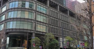 Tokyo kiraz çiçeği