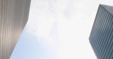 Tokyo kiraz çiçeği