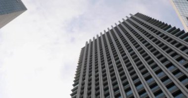 Tokyo kiraz çiçeği