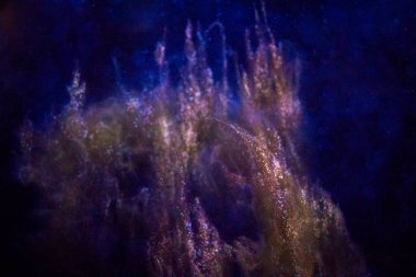 Hogle Hayvanat Bahçesi manzarası