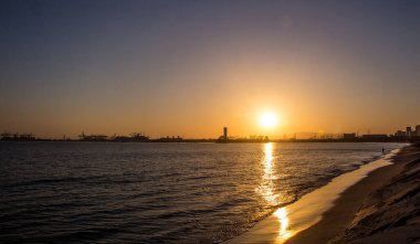 Los Angeles güzelliği