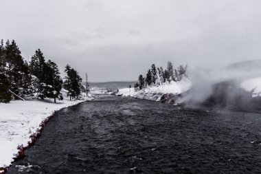 Yellowstone Ulusal Parkı (Kış)