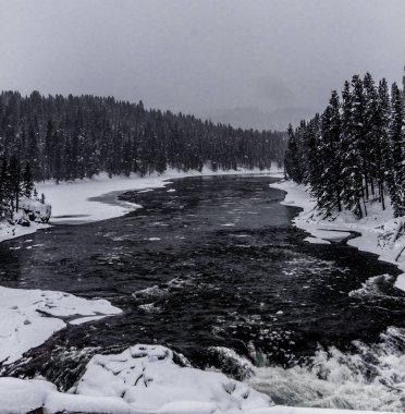 Yellowstone Ulusal Parkı (Kış)
