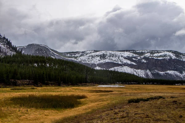 Yellowstone Nationalpark Herbst — Stockfoto