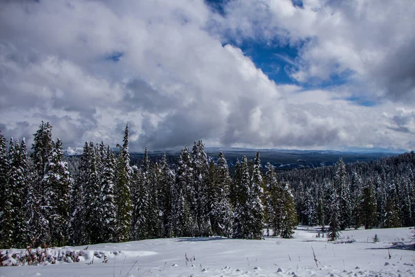 Park Narodowy Yellowstone Jesień — Zdjęcie stockowe