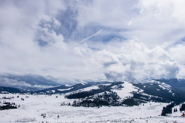 Yellowstone National Park Podzim — Stock fotografie