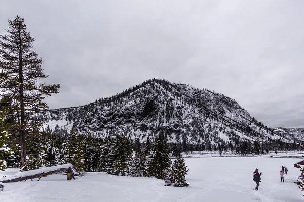 Parque Nacional Yellowstone Inverno — Fotografia de Stock