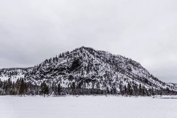 Parque Nacional Yellowstone Inverno — Fotografia de Stock