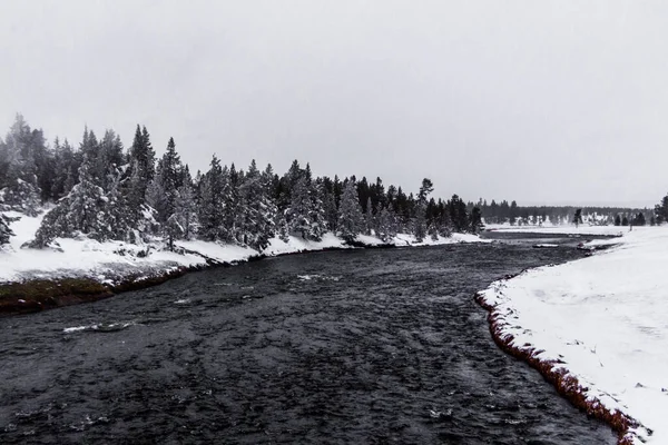 Parque Nacional Yellowstone Inverno — Fotografia de Stock