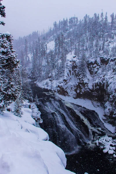 Parque Nacional Yellowstone Invierno — Foto de Stock