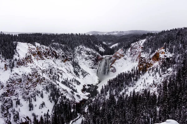 Parque Nacional Yellowstone Inverno — Fotografia de Stock