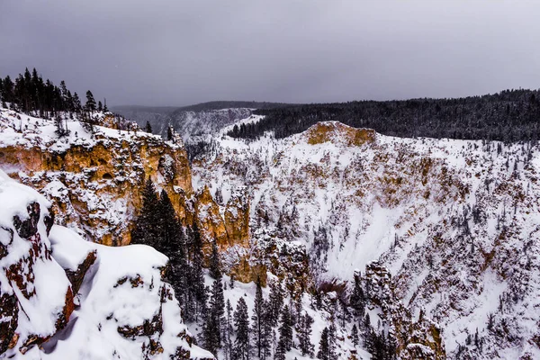 Yellowstone Ulusal Parkı (Kış)