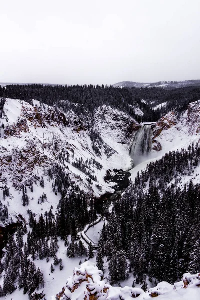 Yellowstone Ulusal Parkı Kış Stok Resim