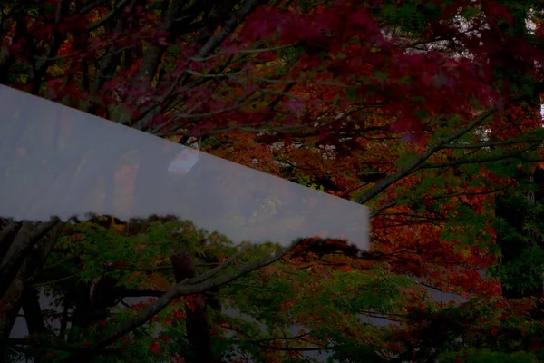 Outono Yokohama Sankeien Garden — Fotografia de Stock