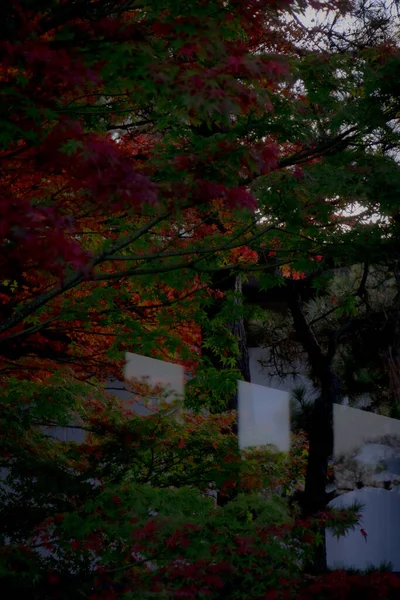 Autumn Yokohama Sankeien Garden — Stock Photo, Image