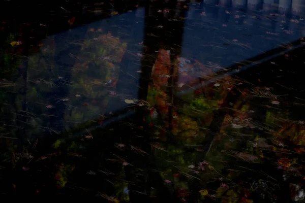 Осень Саду Санкейен Иокогаме — стоковое фото