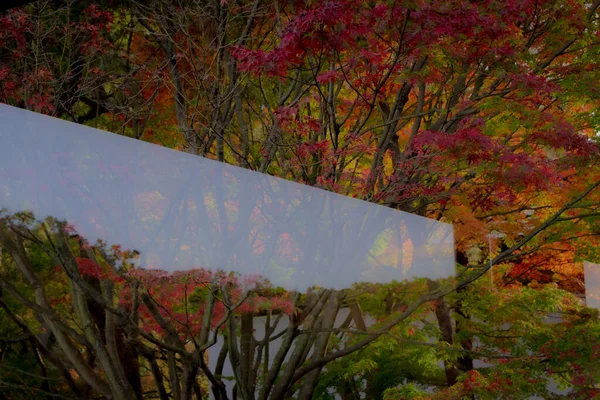 Herbst Yokohama Sankeien Garden — Stockfoto