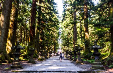 Yamanakako 'nun manzarası