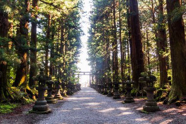 Yamanakako 'nun manzarası
