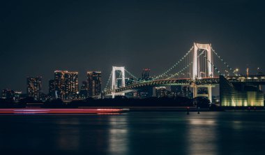 Tokyo 'nun gece manzarası