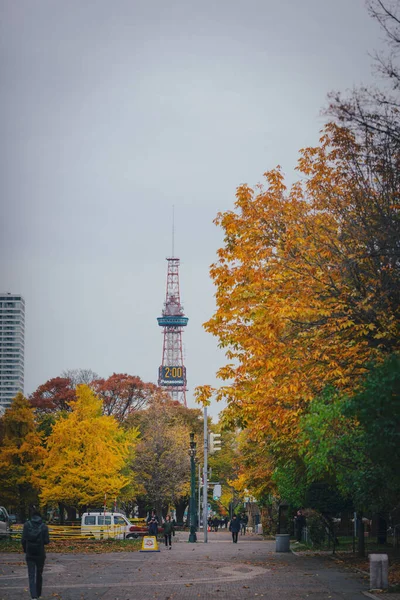 Hokkaidos Liv — Stockfoto