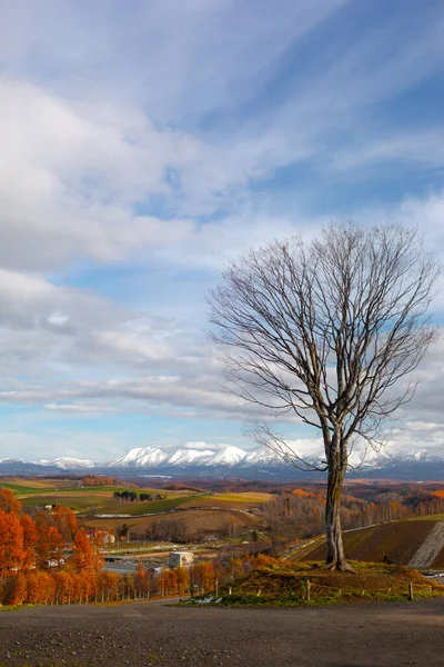 Het Leven Van Hokkaido — Stockfoto