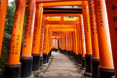 Kyoto 'nun güzelliği
