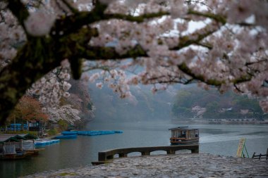 Kyoto 'nun güzelliği
