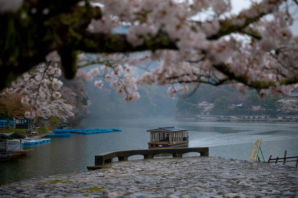 Краса Кіото — стокове фото