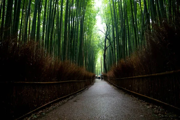 Красота Киото — стоковое фото
