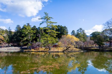 Nara 'nın yaşam tarzı