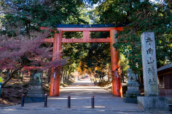 Nara Nın Yaşam Tarzı — Stok fotoğraf