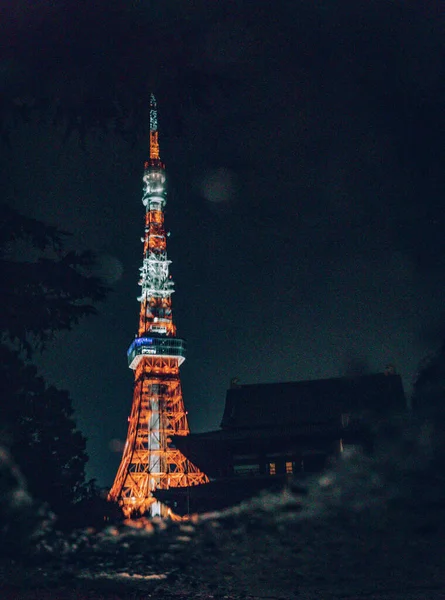 Nattutsikten Över Tokyo — Stockfoto