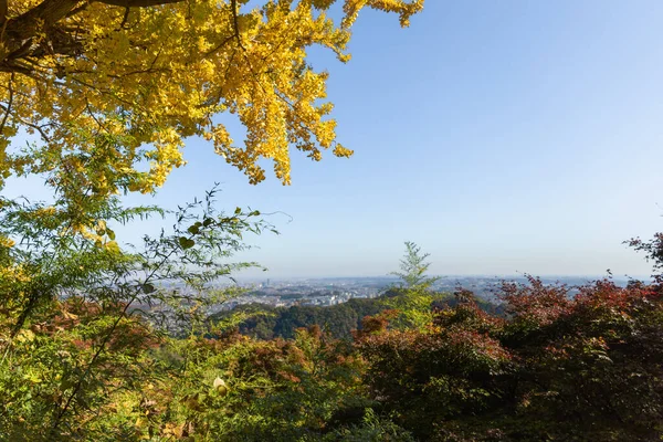 Otoño Oro Monte Takao — Foto de Stock