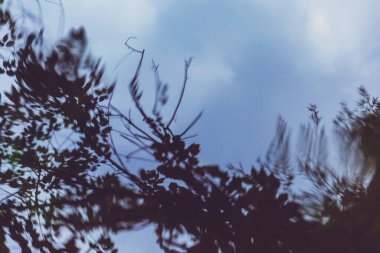 Yokohama 'nın fotoğrafı.