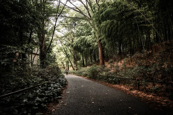 Fotografía Yokohama —  Fotos de Stock