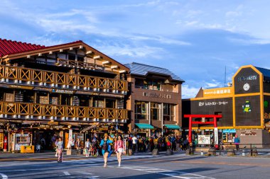 Dağ 'ın güzelliği Fuji