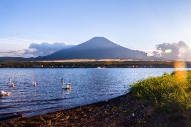 Dağ 'ın güzelliği Fuji